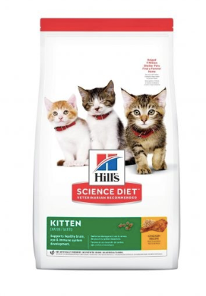 SD Kitten 7 lbs