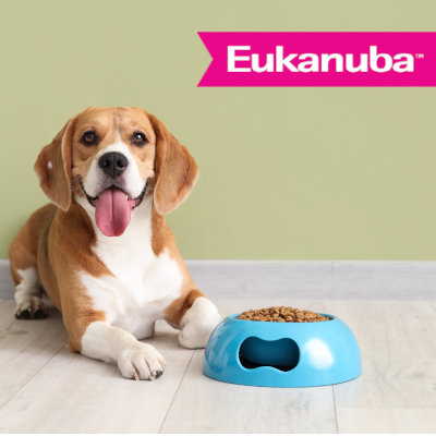 Eukanuba Adulto