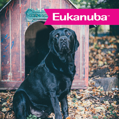 Eukanuba Razas Grandes