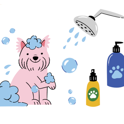 Jabones, Shampoo y Lociones