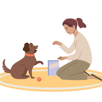 Adiestramiento Canino