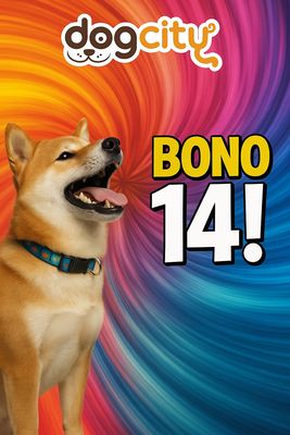 Bono 14 Sale