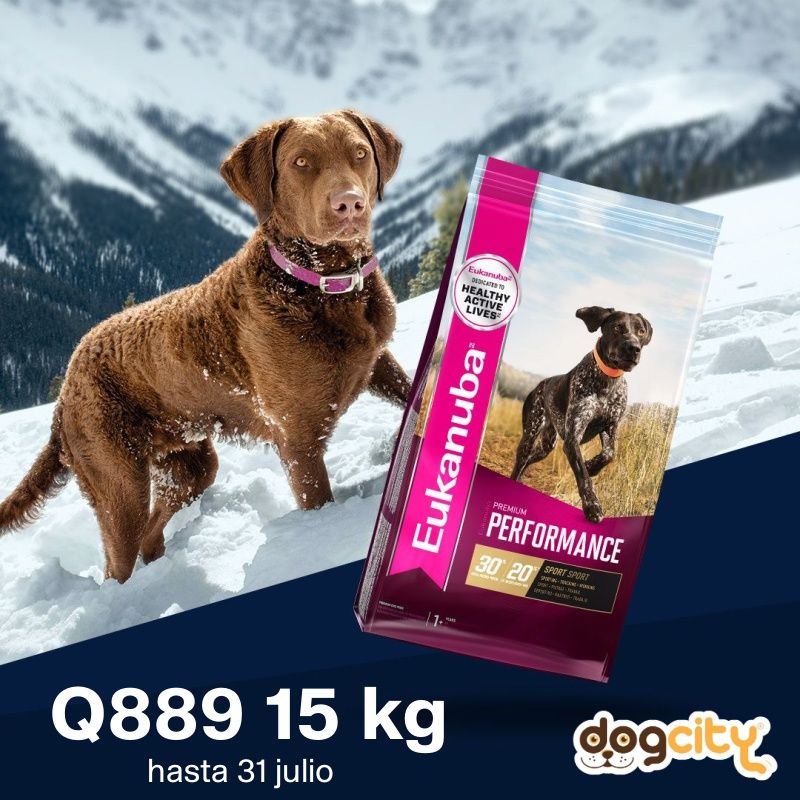 Eukanuba Premium Perfomance - 15kg