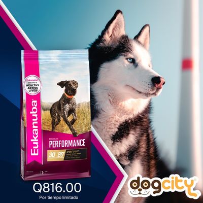 Eukanuba Premium Perfomance - 15kg Eukanuba Premium Perfomance - 15kg