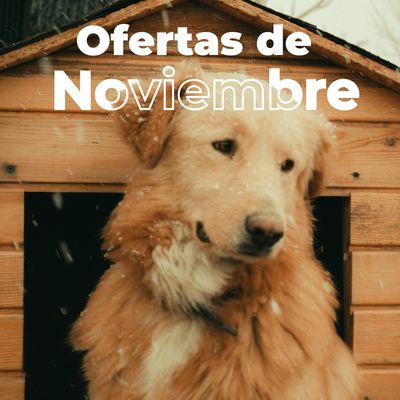 Ofertas de Noviembre