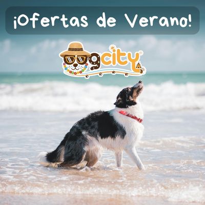 ¡Ofertas de Verano!