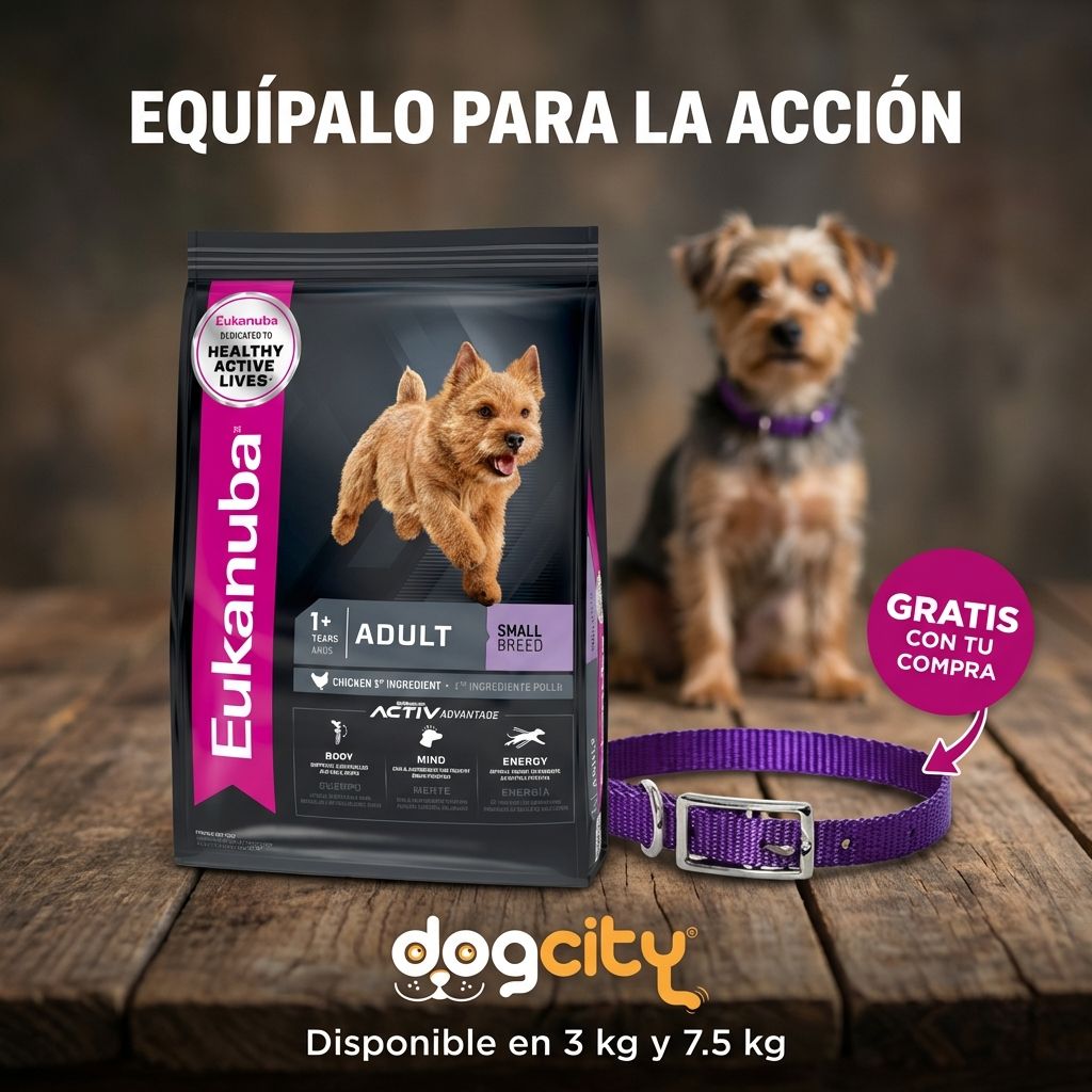 Eukanuba Adult Small Breed + Collar
