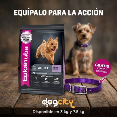 Eukanuba Adult Small Breed + Collar