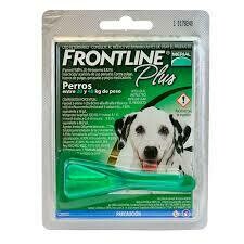 Frontline Large