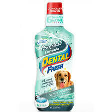 Dental Fresh