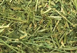 Alfalfa 1Lb.
