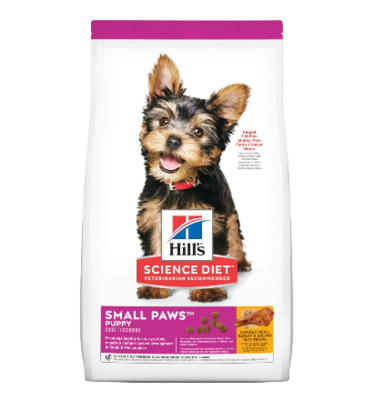 SD Puppy Small Paws