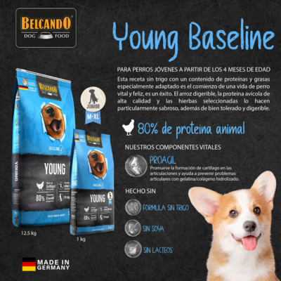 Belcando Baseline Young - 1kg