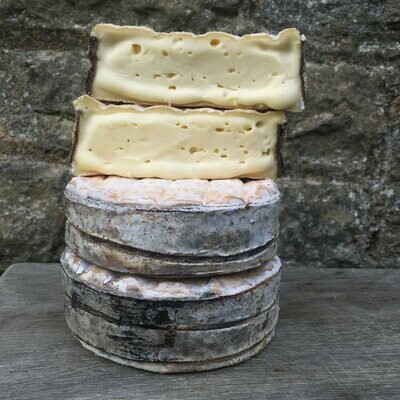 Cheese Club