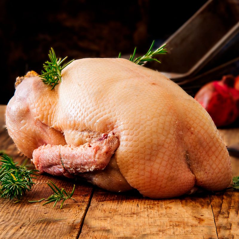 Free Range Goose for 3-11 people