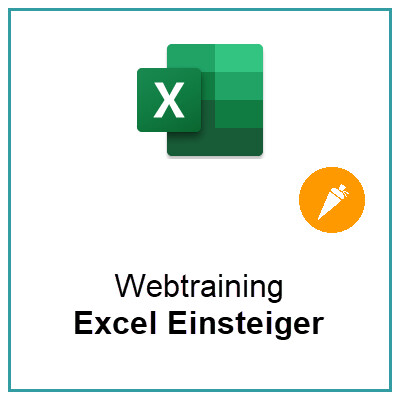 Excel Einsteiger Webtraining (4 x 2 Stunden)