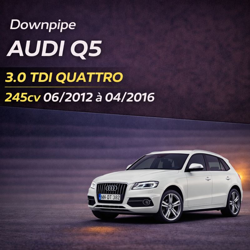 Downpipe RM Motors Audi Q5 3.0 TDI 245cv Quattro (2012-2016) Inox Performance