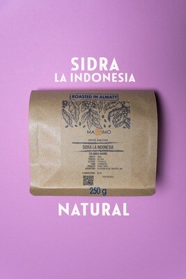 La Indonesia Sidra Bourbon - Colombia Nariño​