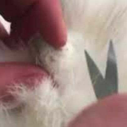 Mat Removal
