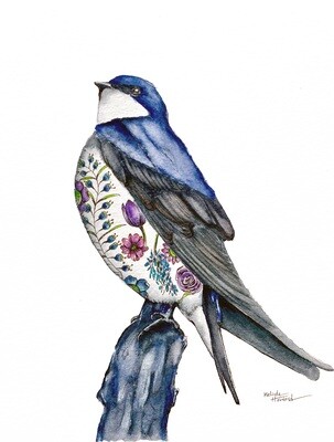 8x10 Swallow - Tattoo Bird Series Print