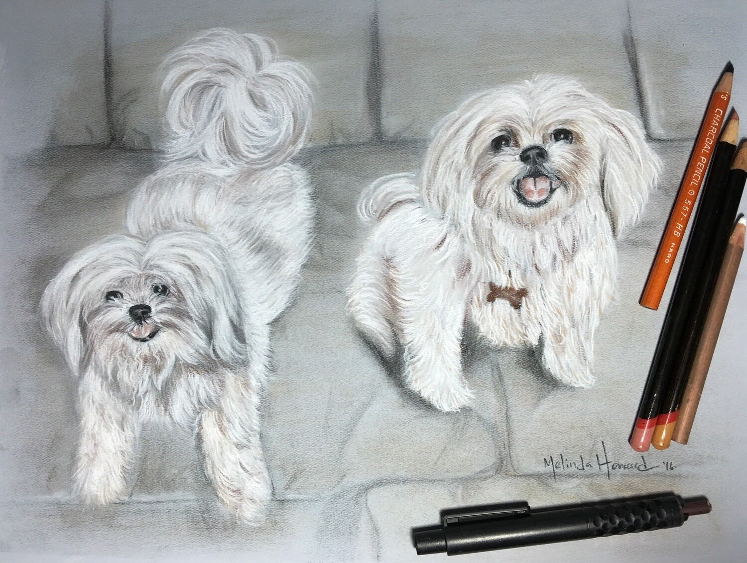 COMMISSIONED Graphite or Charcoal Portrait (Pet) Starting at: