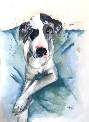 COMMISSIONED Watercolor Portrait (Pet) Starting at: