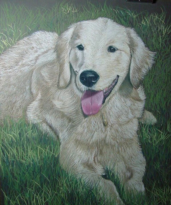 COMMISSIONED Graphite or Charcoal Portrait (Pet) Starting at: