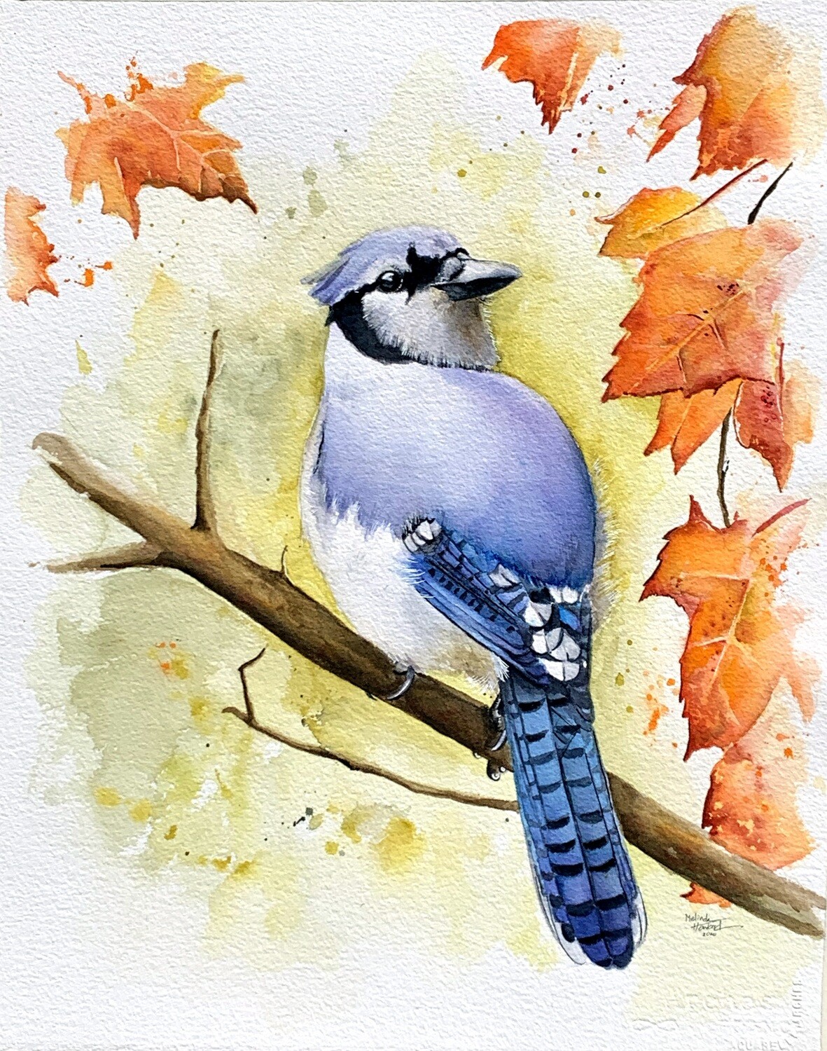 COMMISSIONED  ARTWORK- (other than pets or people) - CONTACT FOR PRICE