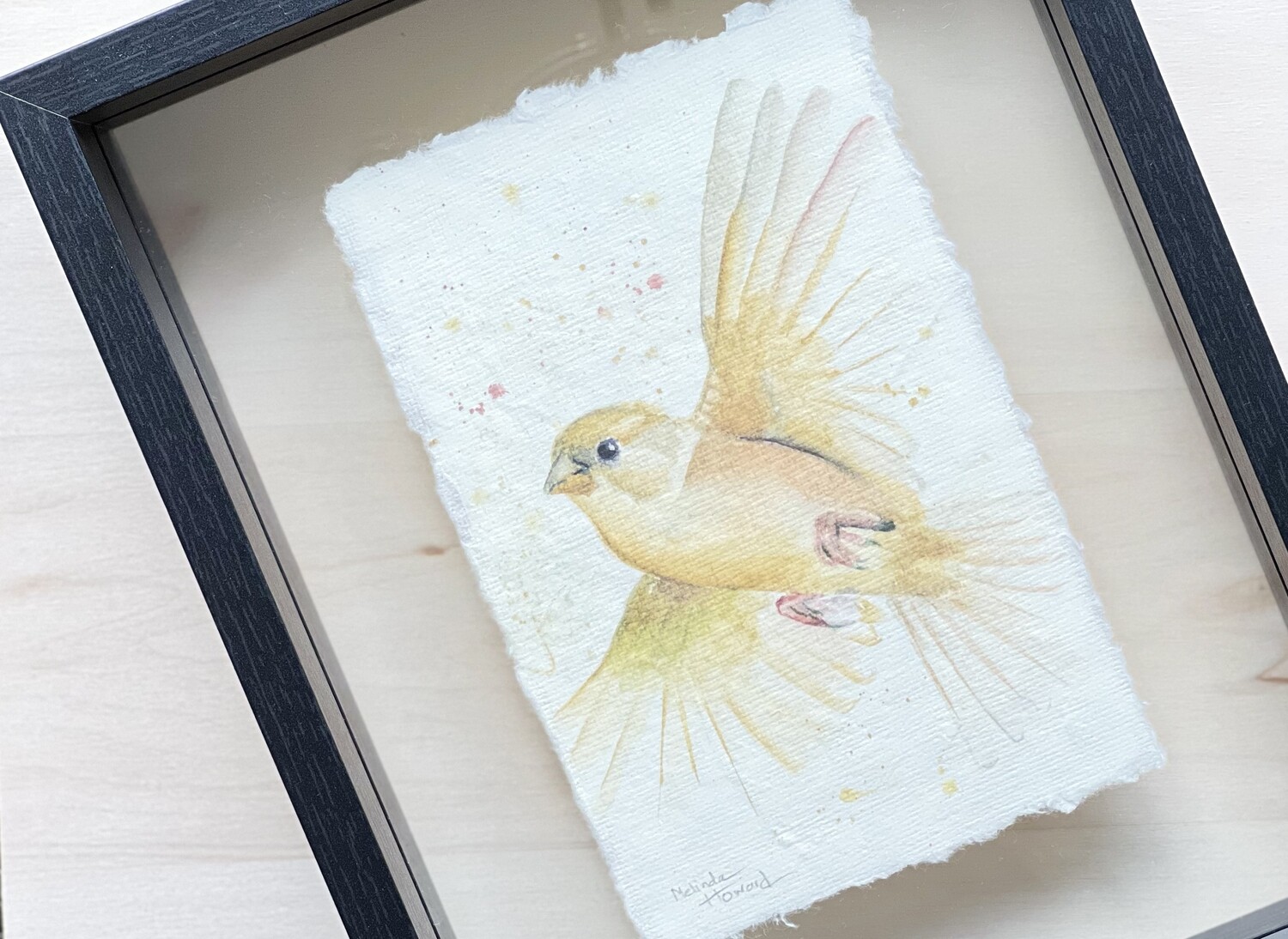 Orig. Watercolor Bird Painting - FRAMED