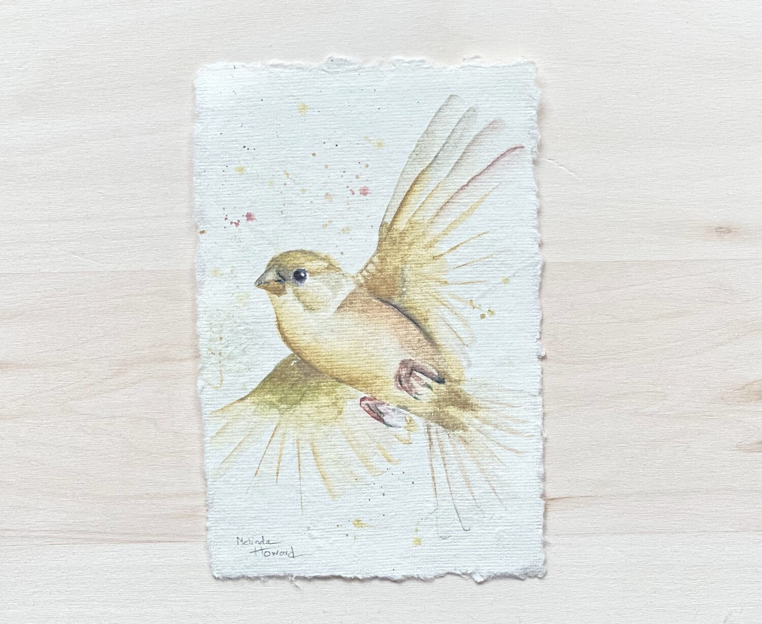 Orig. Watercolor Bird Painting - FRAMED