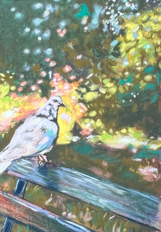 &quot;Dove on a Bench&quot; Pastel Painting, 4x6&quot;