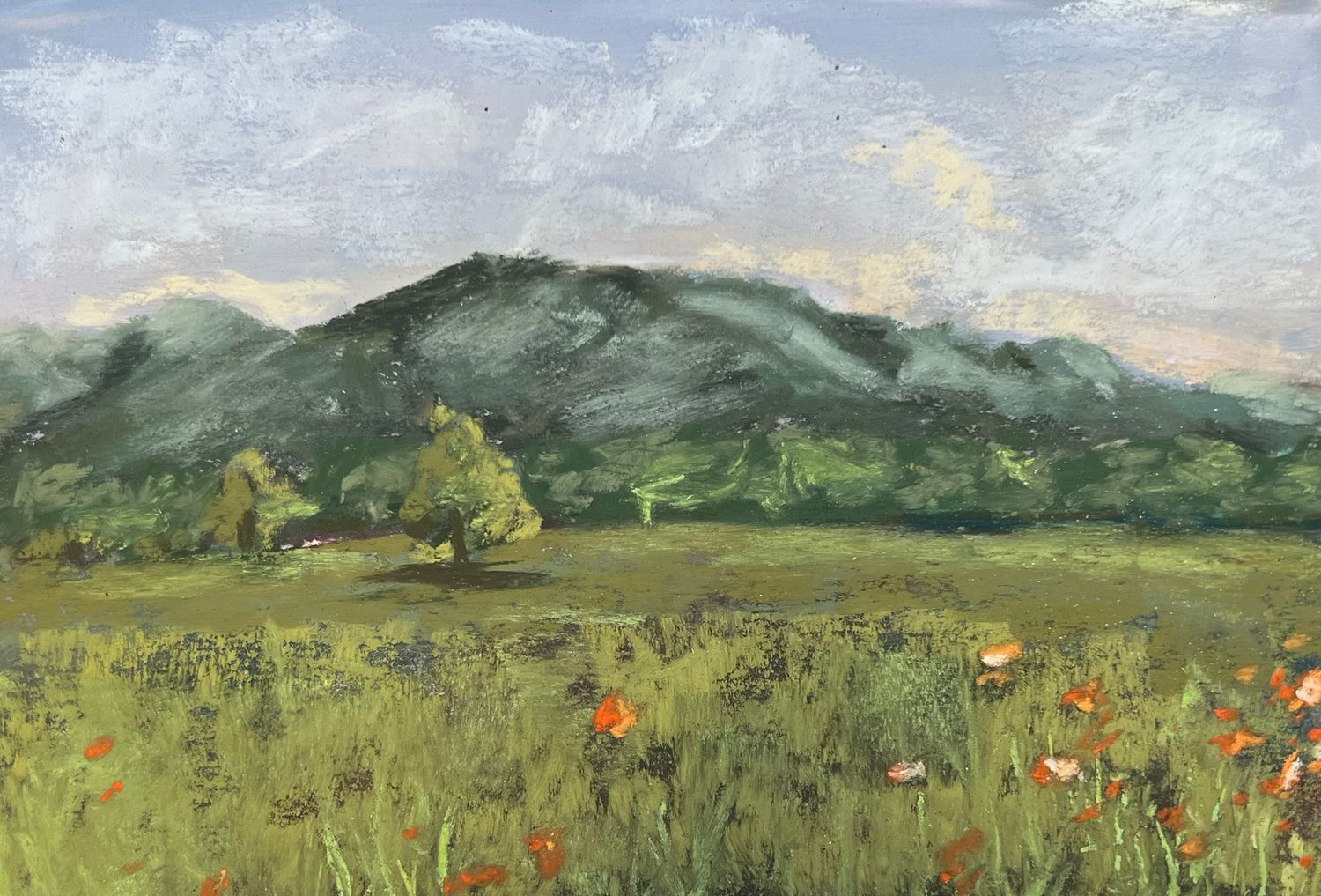 &quot;Orange Flower Field &amp; Mount&quot; Pastel Painting, 7x5&quot;