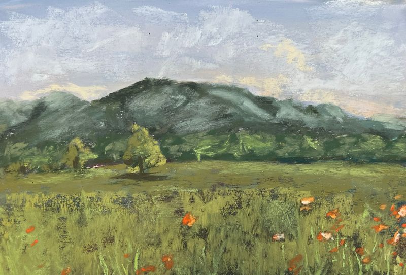 "Orange Flower Field &amp; Mount" Pastel Painting, 7x5"