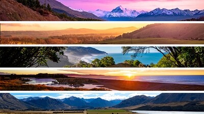 FAQs | Disclaimers | T&amp;Cs