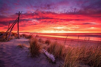 Waikuku Beach, North Canterbury New Zealand