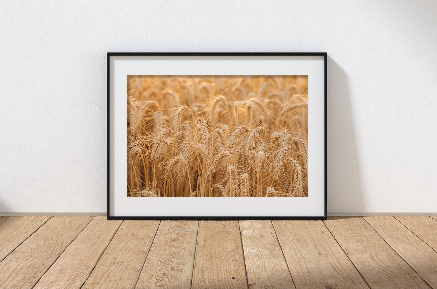 Ready to Harvest