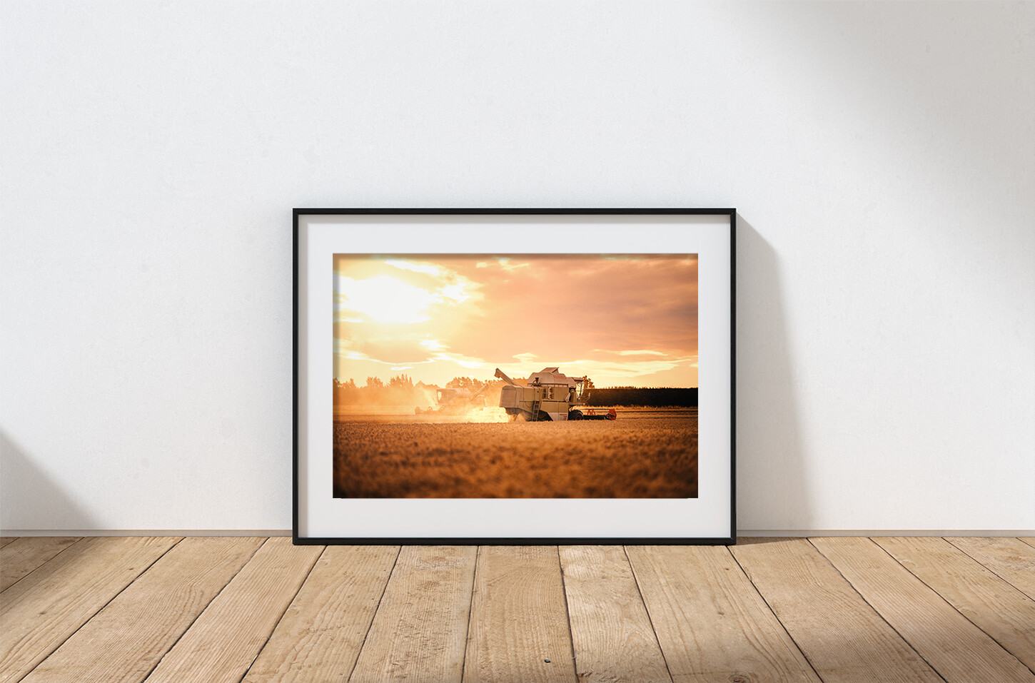 Harvester, North Canterbury, New Zealand
