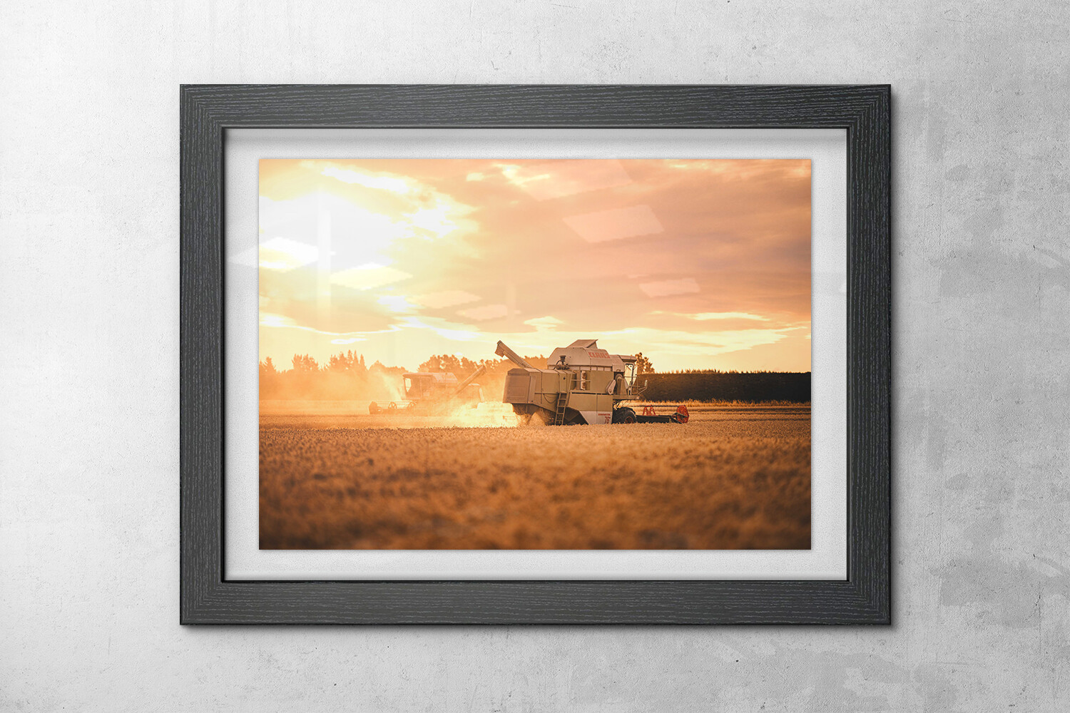 Harvester, North Canterbury, New Zealand