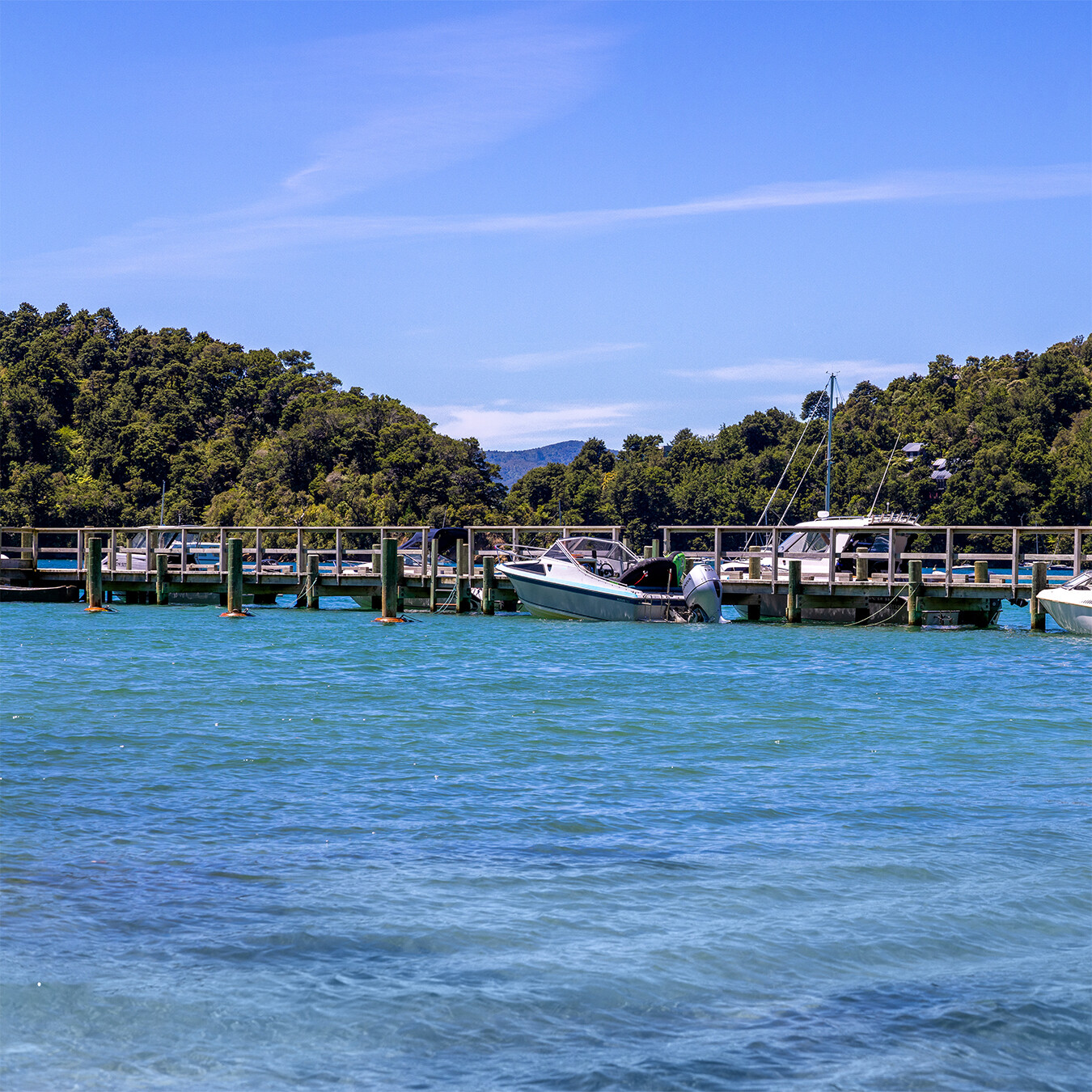 Ngakuta Bay (65 Image Stitch Panoramic)