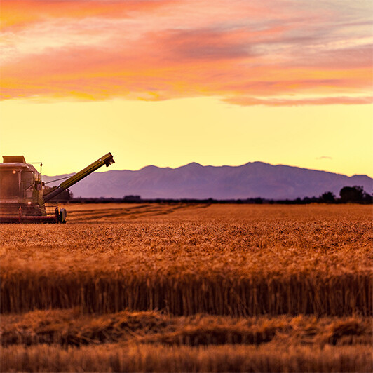 Harvester Three (125 Image Stitch Panoramic)