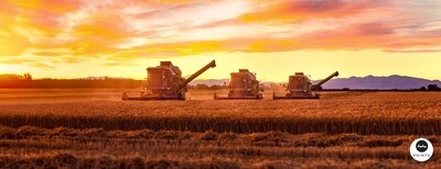 Harvester Three (125 Image Stitch Panoramic)