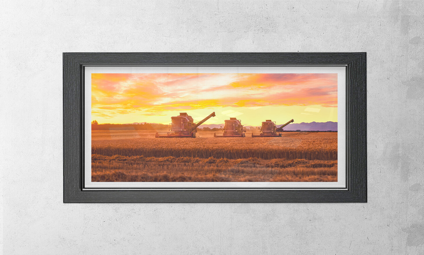 Harvester Three (125 Image Stitch Panoramic)