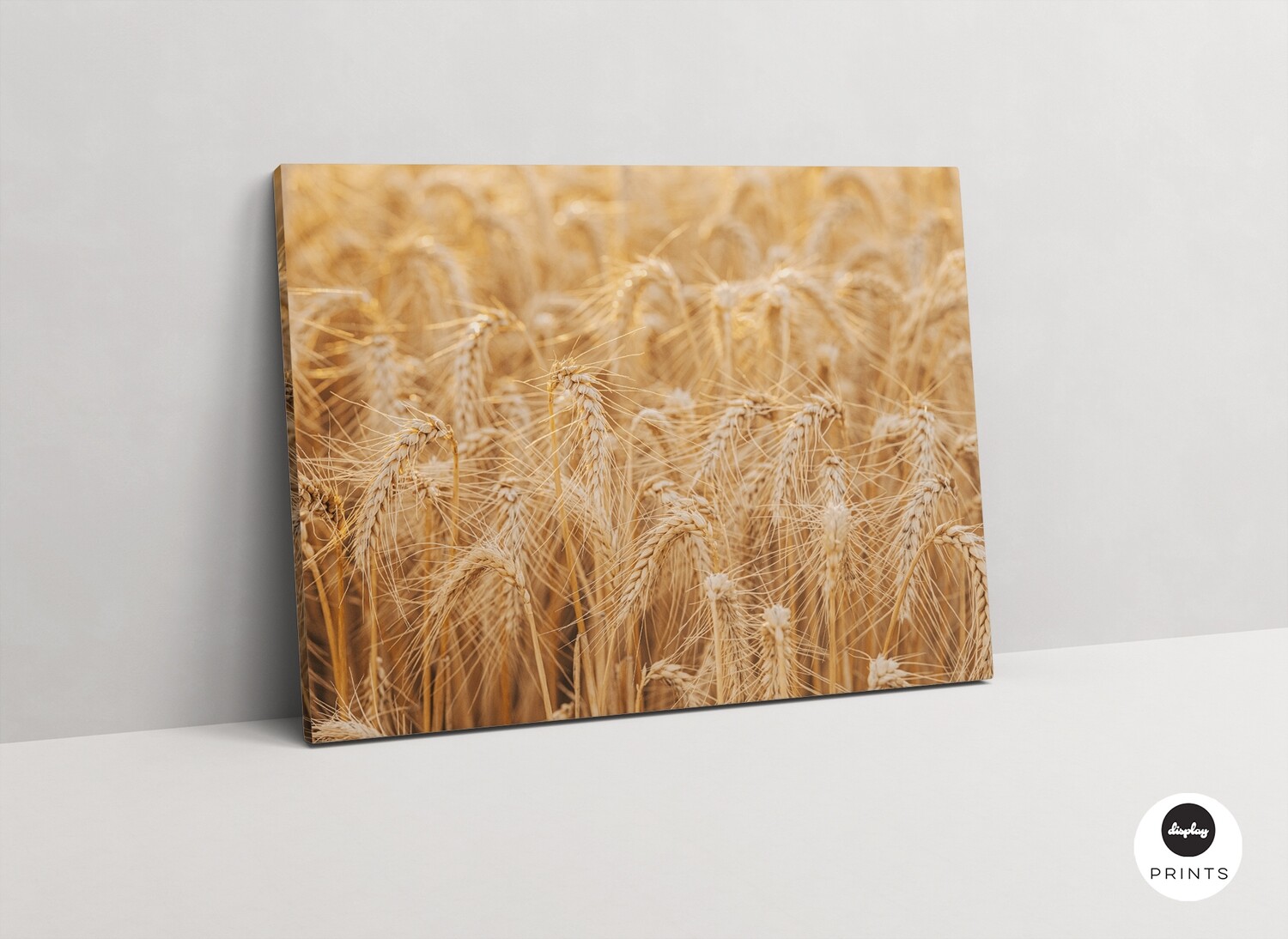 Ready to Harvest