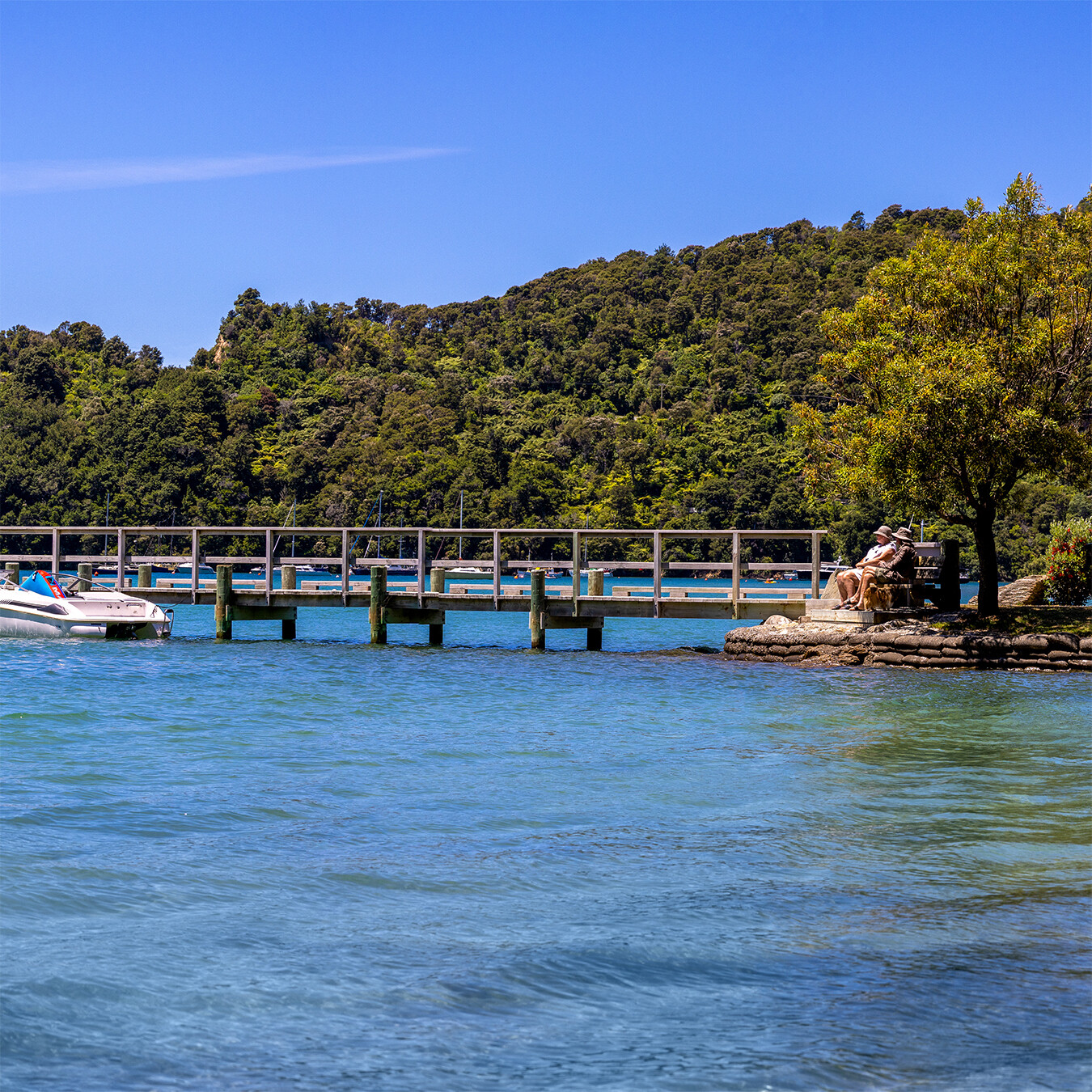 Ngakuta Bay (65 Image Stitch Panoramic)