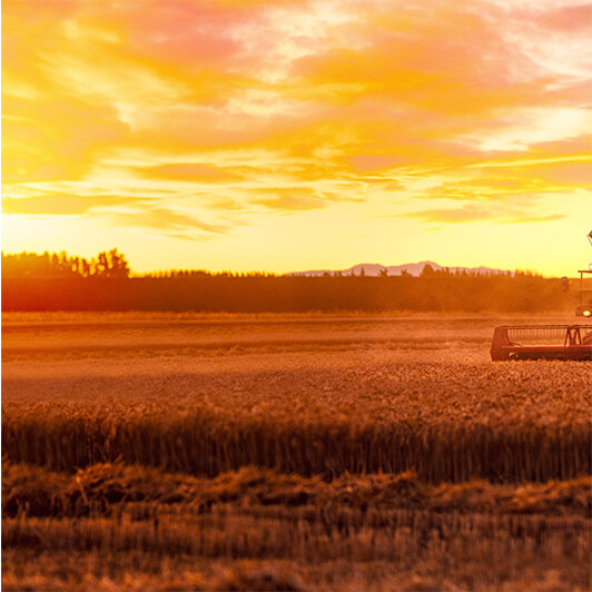 Harvester Three (125 Image Stitch Panoramic)