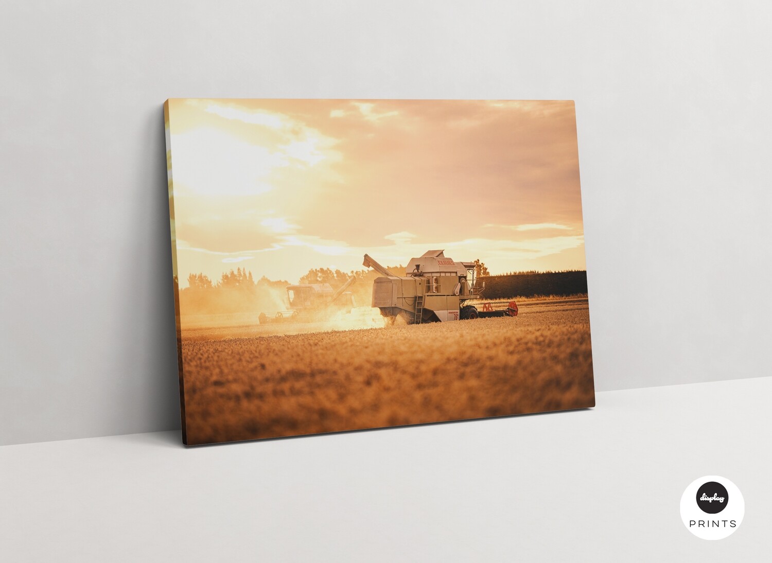 Harvester, North Canterbury, New Zealand
