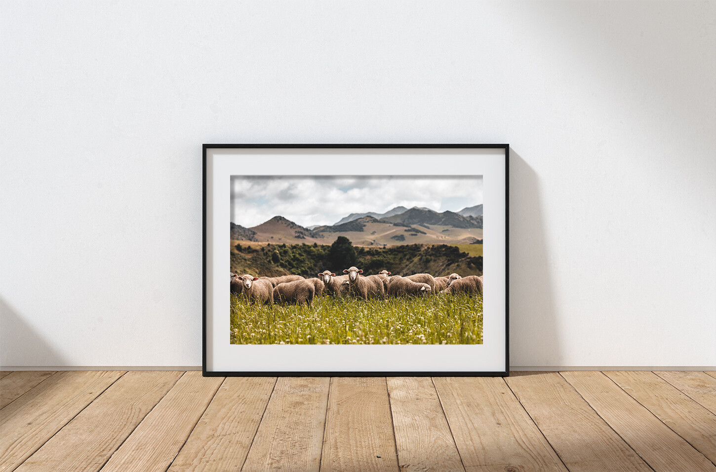 Sheepish