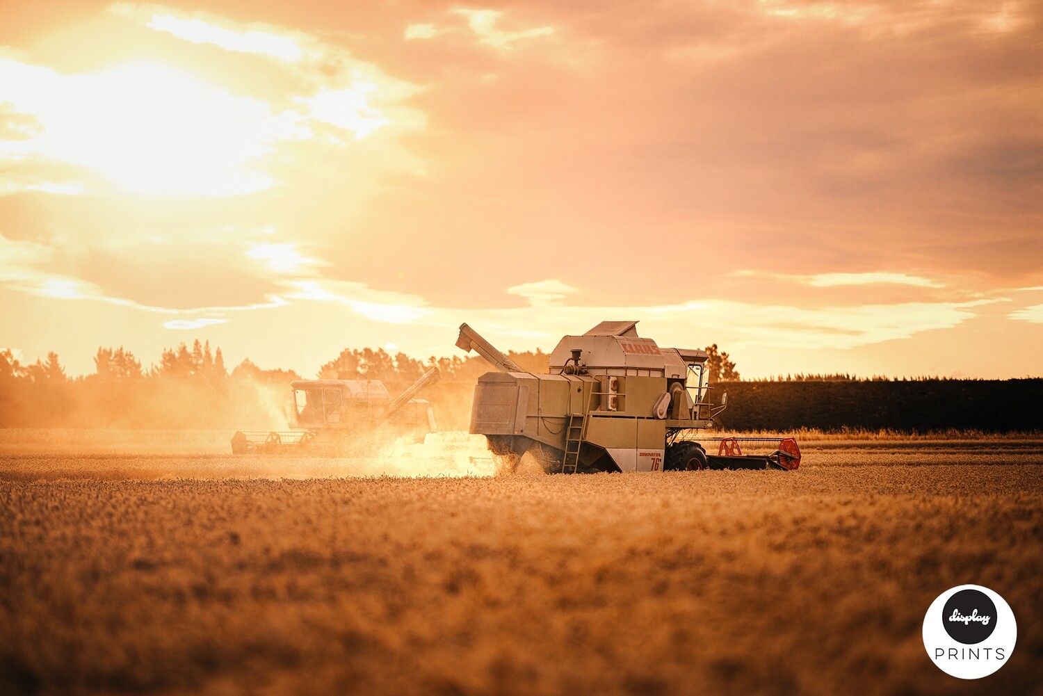 Harvester, North Canterbury, New Zealand