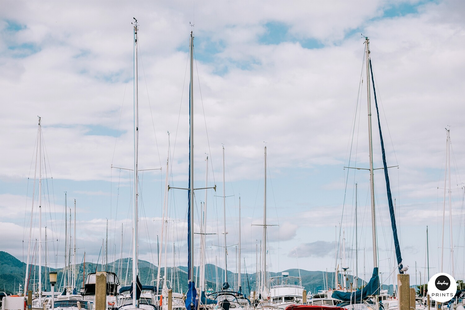 Marina Masts