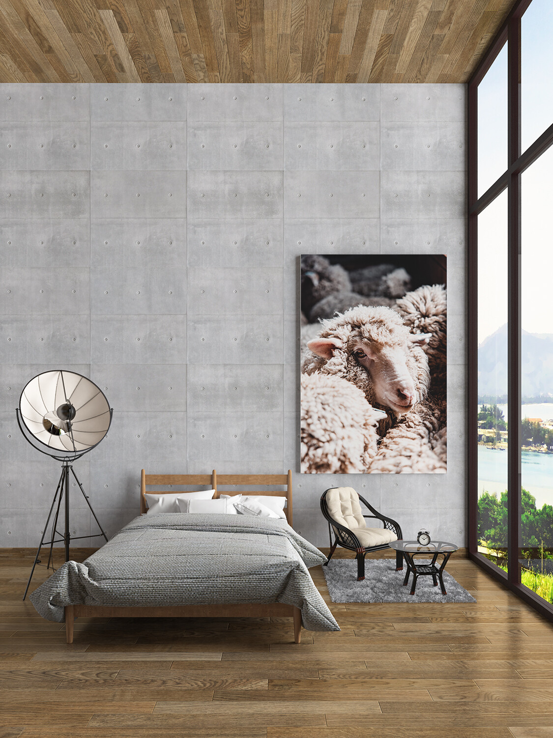 Merino Sheep